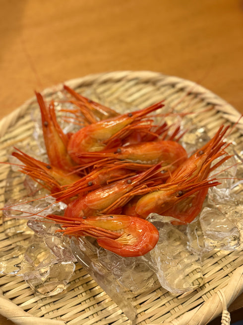 北海道漁師直送 北海シマエビ(冷蔵)
